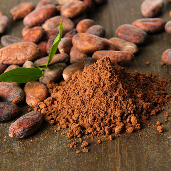 Chocamine Cocoa Extract