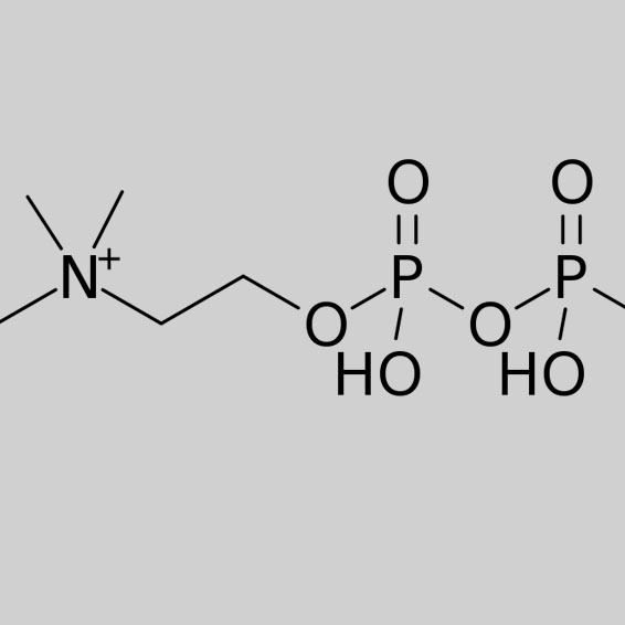 Cognizin® Citicoline